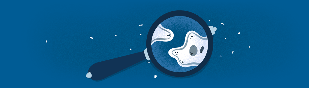 Amoeba illustration